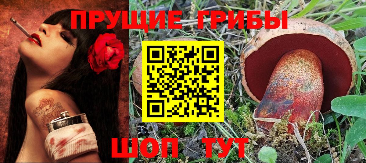 Галлюциногенные грибы MAGIC MUSHROOMS Сыктывкар
